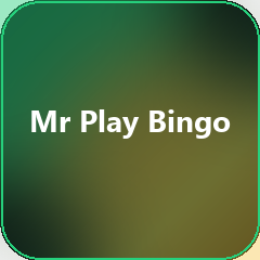 Mr Play Bingo